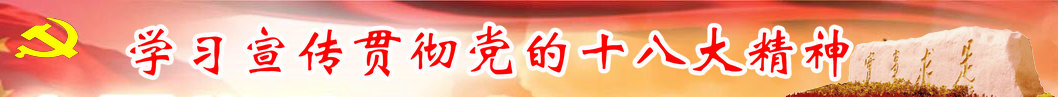 学习十八大网眉.jpg